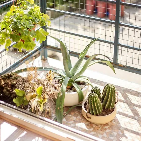 #invilnius - Spacious & Bright 1bdr Shopping District Апартаменты Вильнюс