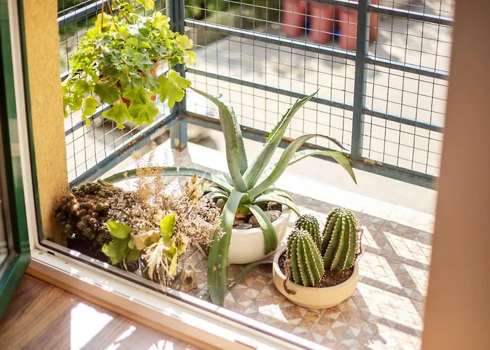 #invilnius - Spacious & Bright 1bdr Shopping District Appartement Vilnius