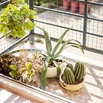 #invilnius - Spacious & Bright 1bdr Shopping District Apartament Wilno